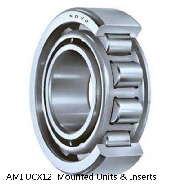 AMI UCX12  Mounted Units & Inserts