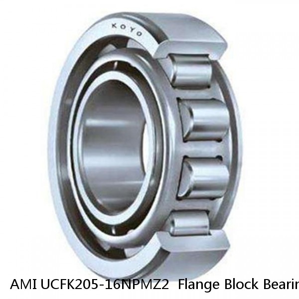 AMI UCFK205-16NPMZ2  Flange Block Bearings