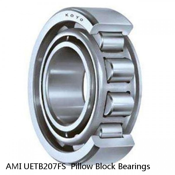 AMI UETB207FS  Pillow Block Bearings