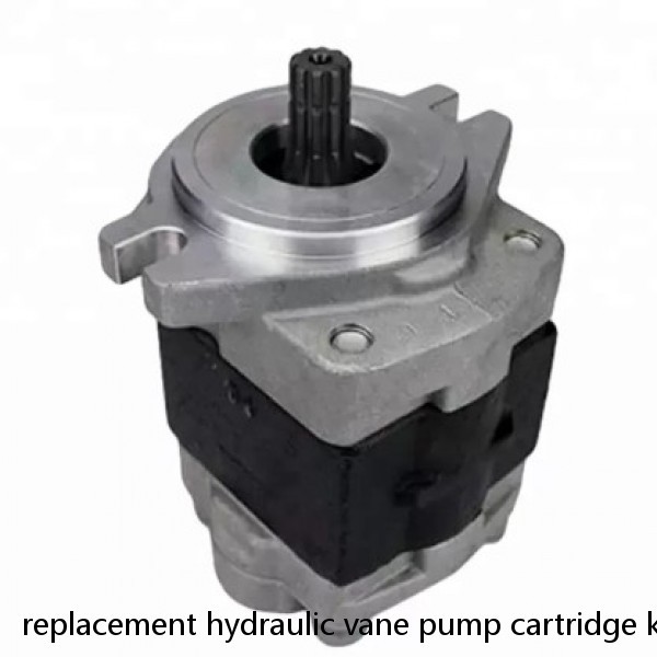 replacement hydraulic vane pump cartridge kit for Vickers V10 V20 #1 small image