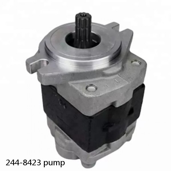 244-8423 pump #1 small image