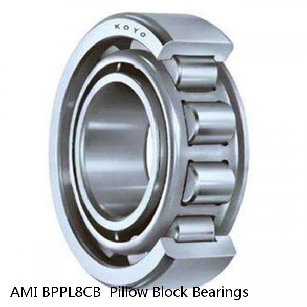 AMI BPPL8CB  Pillow Block Bearings