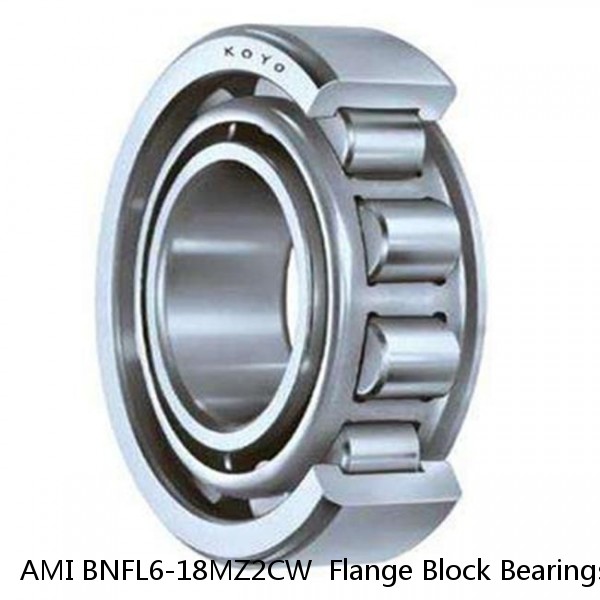 AMI BNFL6-18MZ2CW  Flange Block Bearings