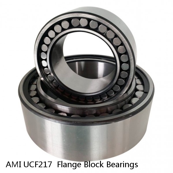 AMI UCF217  Flange Block Bearings #1 image