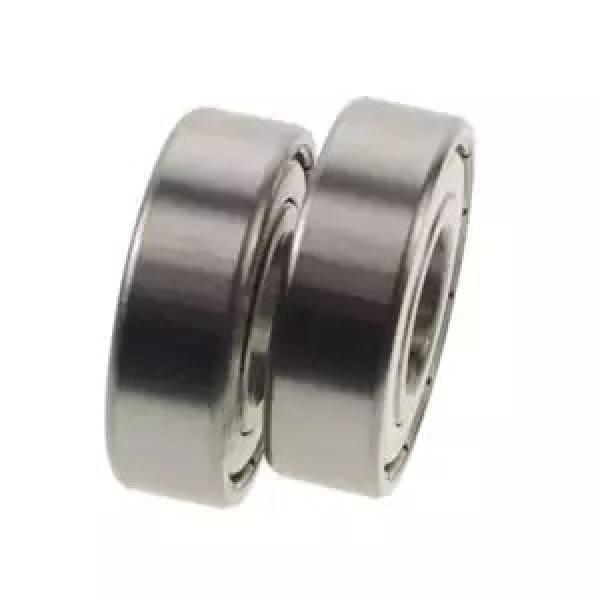 FAG NU236-E-M1A-C3 Cylindrical Roller Bearings #1 image